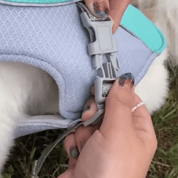 FreshVest™ | Veste Rafraîchissante pour Chien Anti-Chaleur