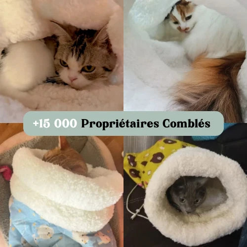 Chat installé dans un panier cocooning anti-stress Cocon Zen Patounes