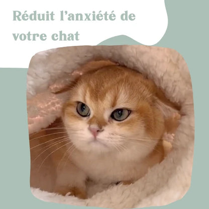 Chat installé dans un panier cocooning anti-stress Cocon Zen Patounes