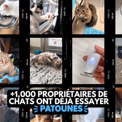 Tondeuse Silencieuse Anti-Nœuds — Pour Chat Poils Longs & Courts
