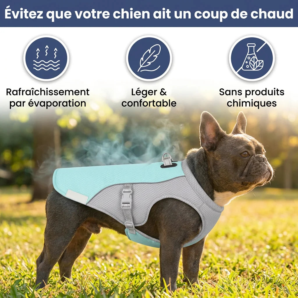 FreshVest™ | Veste Rafraîchissante pour Chien Anti-Chaleur