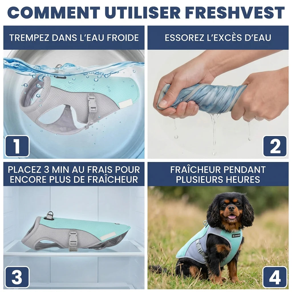 FreshVest™ | Veste Rafraîchissante pour Chien Anti-Chaleur