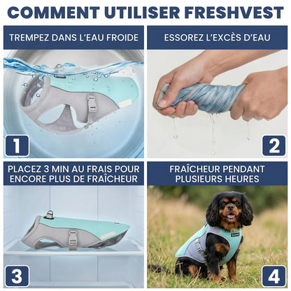FreshVest™ | Veste Rafraîchissante pour Chien Anti-Chaleur