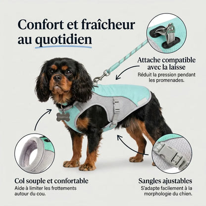 FreshVest™ | Veste Rafraîchissante pour Chien Anti-Chaleur