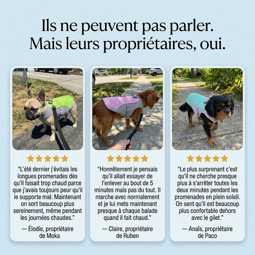 FreshVest™ | Veste Rafraîchissante pour Chien Anti-Chaleur