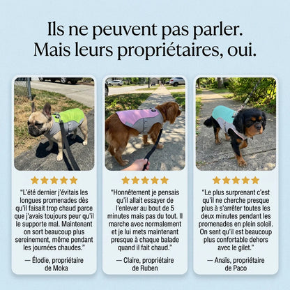 FreshVest™ | Veste Rafraîchissante pour Chien Anti-Chaleur