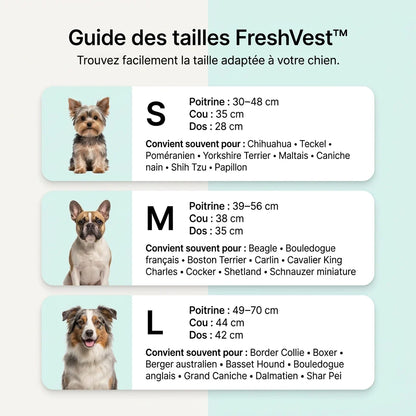 FreshVest™ | Veste Rafraîchissante pour Chien Anti-Chaleur