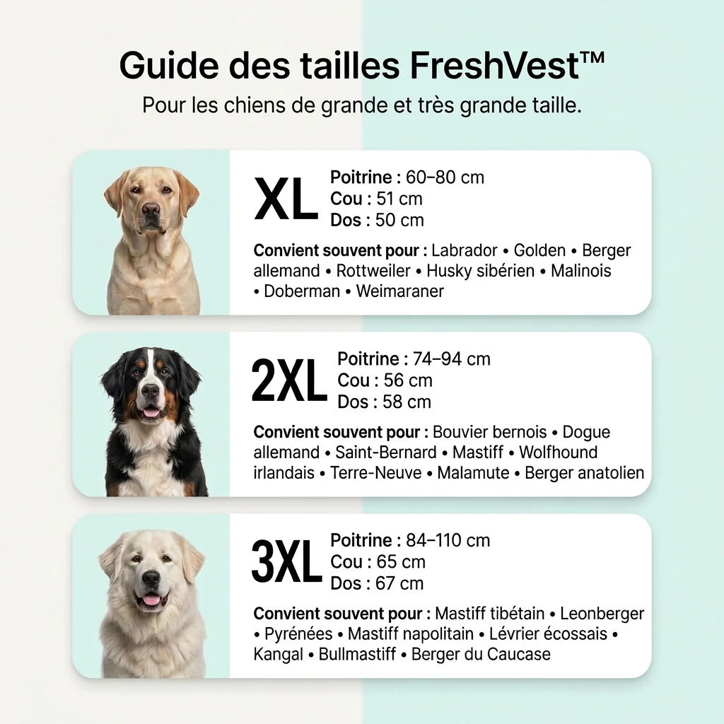 FreshVest™ | Veste Rafraîchissante pour Chien Anti-Chaleur
