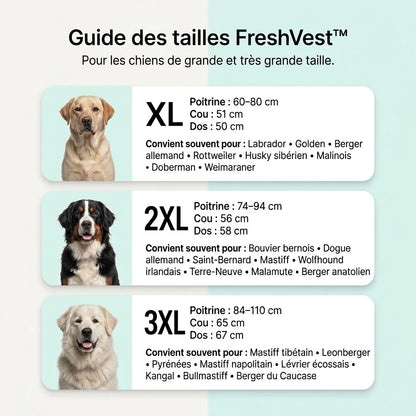 FreshVest™ | Veste Rafraîchissante pour Chien Anti-Chaleur