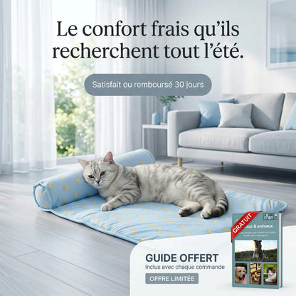 Chat allongé sur le tapis rafraîchissant FreshPet bleu anti-chaleur pour chats et chiens
