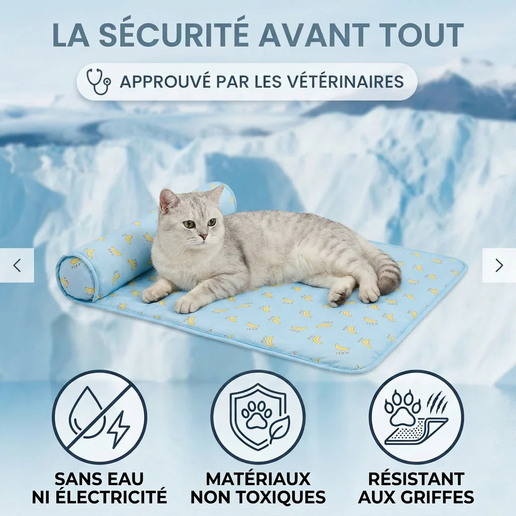 Chat allongé sur le tapis rafraîchissant FreshPet bleu anti-chaleur pour chats et chiens