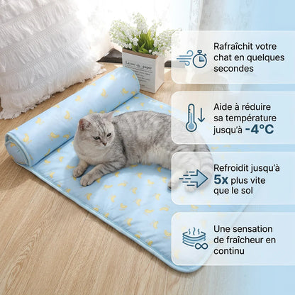 Chat allongé sur le tapis rafraîchissant FreshPet bleu anti-chaleur pour chats et chiens