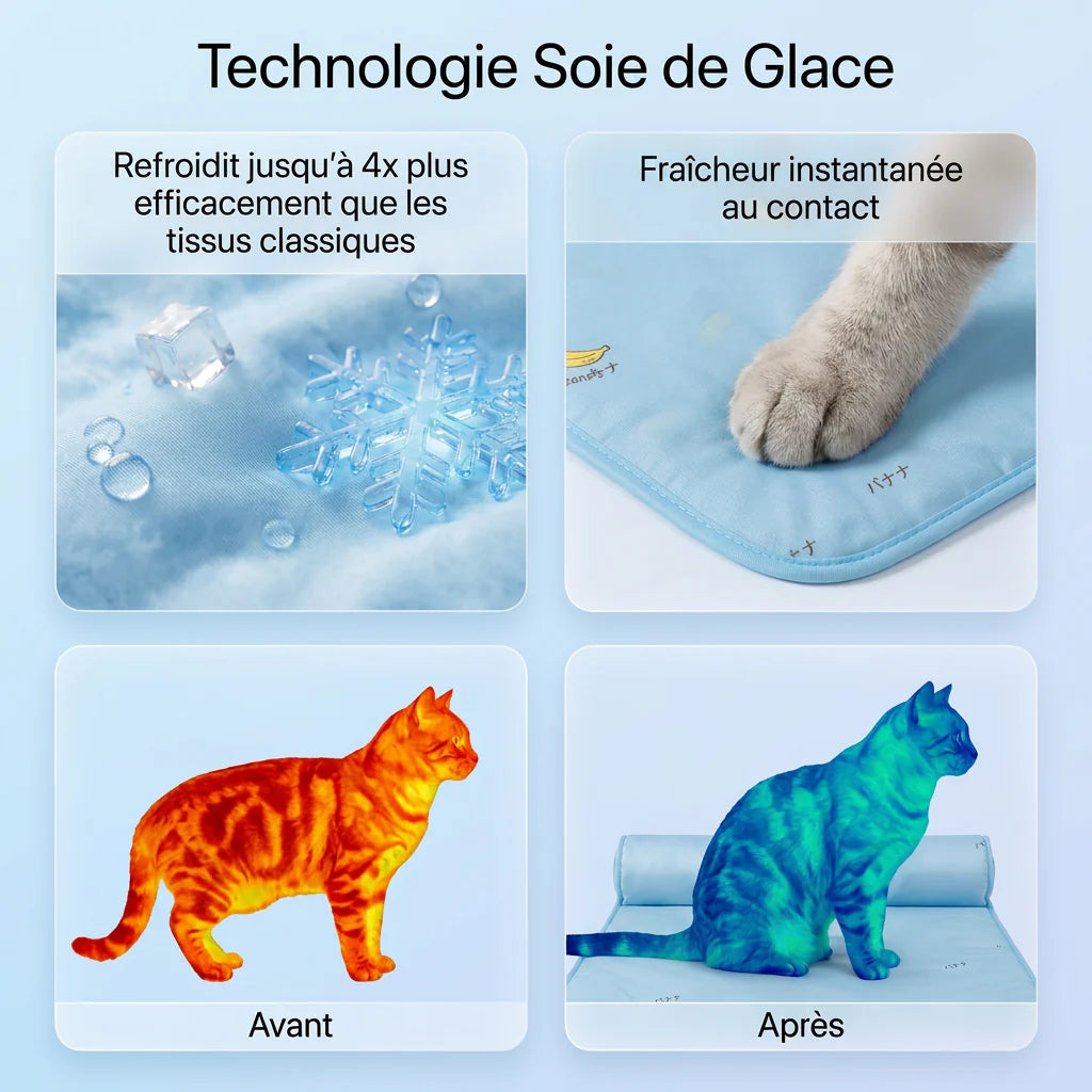 Chat allongé sur le tapis rafraîchissant FreshPet bleu anti-chaleur pour chats et chiens