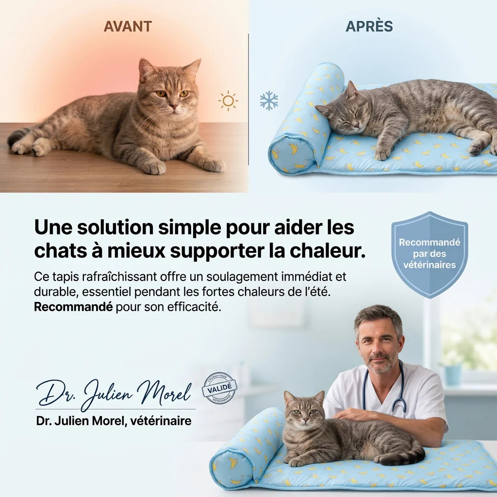 Chat allongé sur le tapis rafraîchissant FreshPet bleu anti-chaleur pour chats et chiens