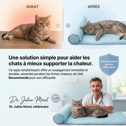 Chat allongé sur le tapis rafraîchissant FreshPet bleu anti-chaleur pour chats et chiens