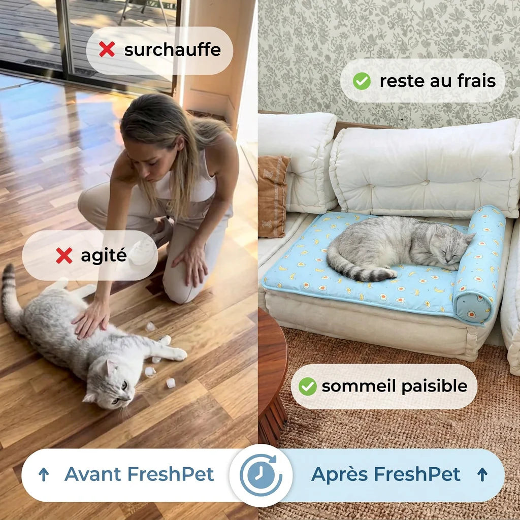 Chat allongé sur le tapis rafraîchissant FreshPet bleu anti-chaleur pour chats et chiens