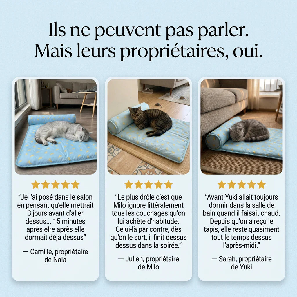 Chat allongé sur le tapis rafraîchissant FreshPet bleu anti-chaleur pour chats et chiens