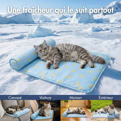 Chat allongé sur le tapis rafraîchissant FreshPet bleu anti-chaleur pour chats et chiens