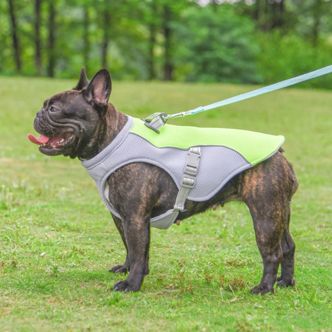 FreshVest™ | Veste Rafraîchissante pour Chien Anti-Chaleur