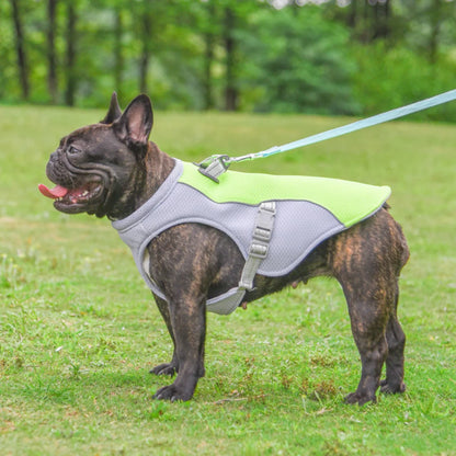 FreshVest™ | Veste Rafraîchissante pour Chien Anti-Chaleur