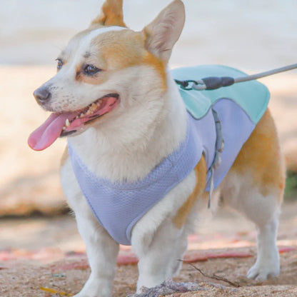 FreshVest™ | Veste Rafraîchissante pour Chien Anti-Chaleur