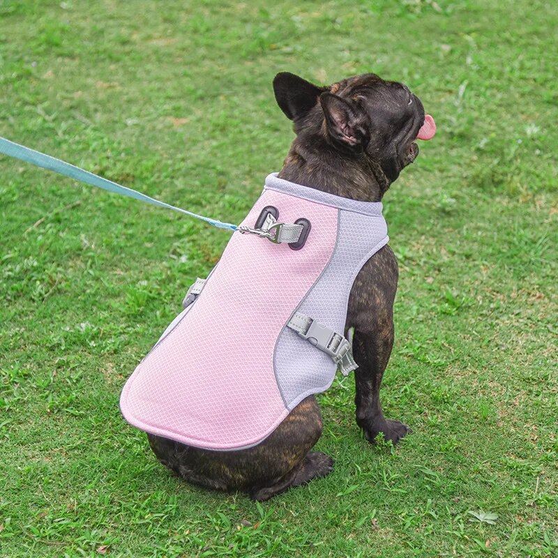 FreshVest™ | Veste Rafraîchissante pour Chien Anti-Chaleur