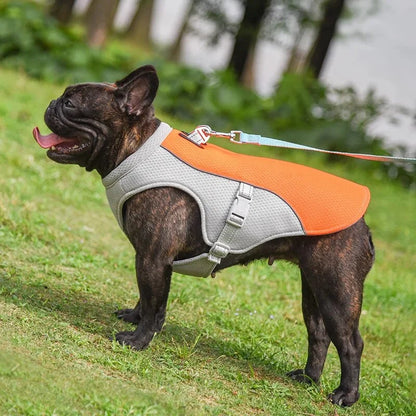 FreshVest™ | Veste Rafraîchissante pour Chien Anti-Chaleur