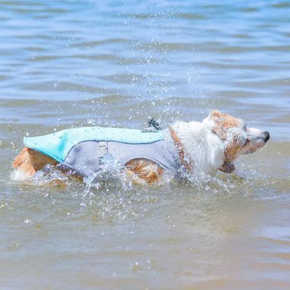 FreshVest™ | Veste Rafraîchissante pour Chien Anti-Chaleur